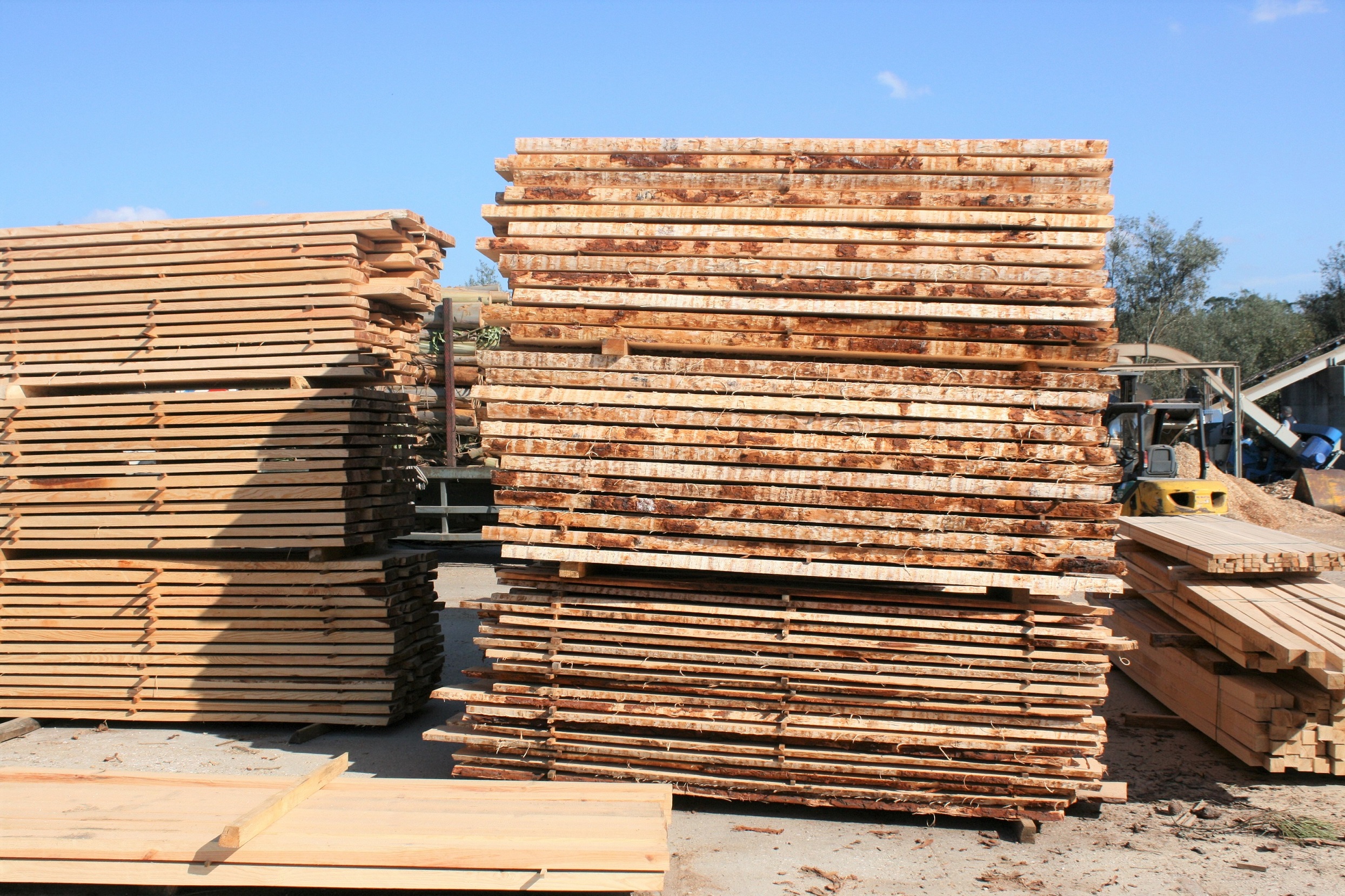 Madera aserrada seleccionada a medida, aserrada en bruto y secada