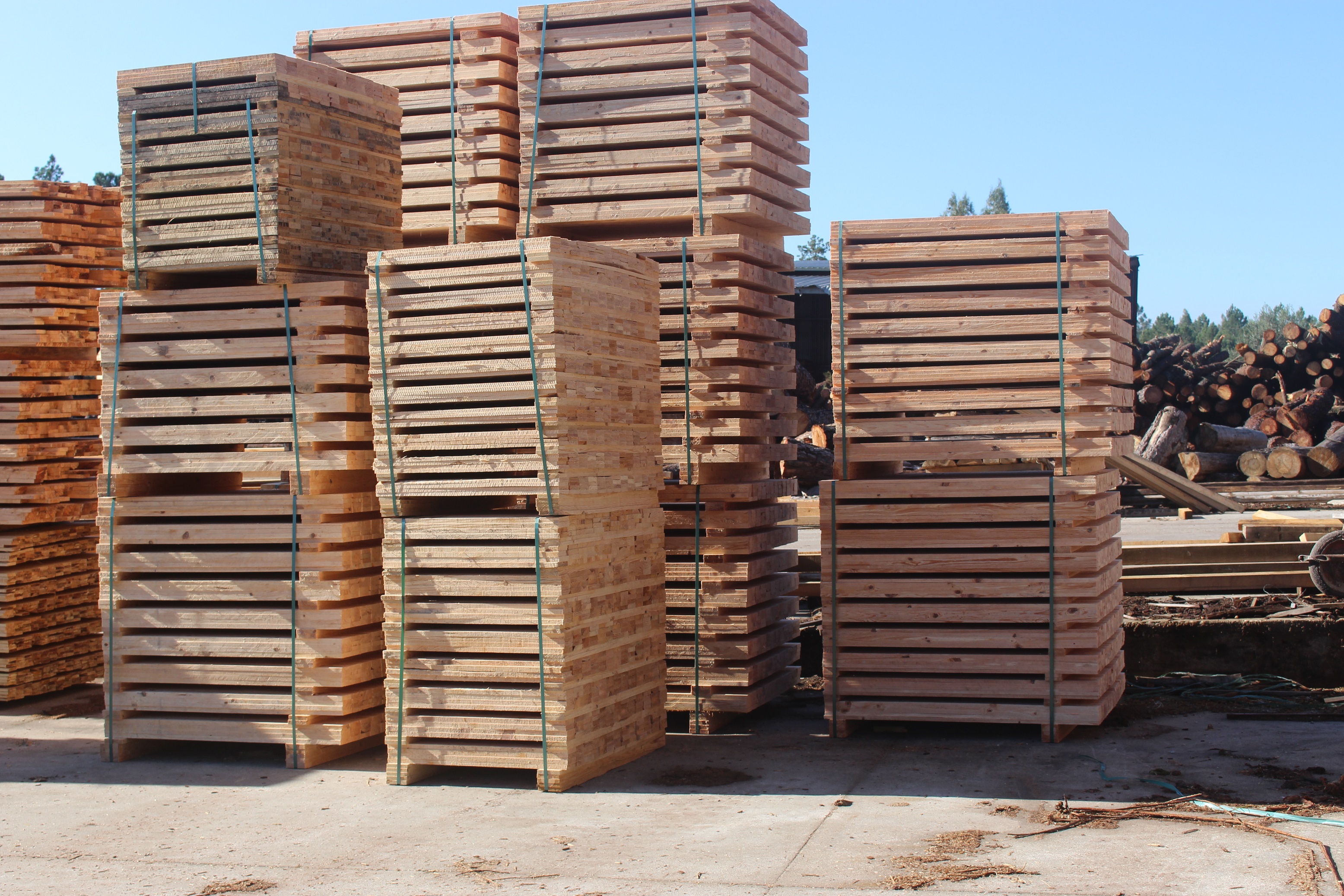 Madera aserrada para palés y embalajes